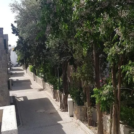 Acropol Yahsi Evleri بيت للعطل